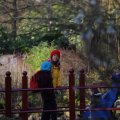 IMG_1680263