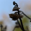 IMG_1680264