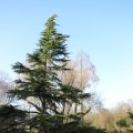 IMG_1680271