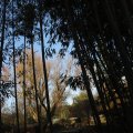 IMG_1680276