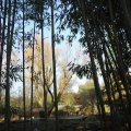 IMG_1680278