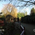 IMG_1680281