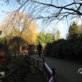 IMG_1680282