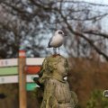 IMG_1680300
