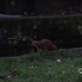 IMG_1680307