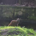 IMG_1680311