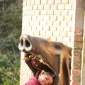 IMG_1680314
