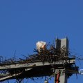 IMG_1680315