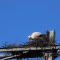 IMG_1680317