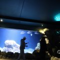 IMG_1680396