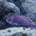 IMG_1680398