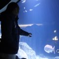 IMG_1680400