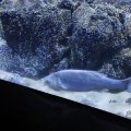 IMG_1680401
