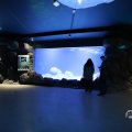 IMG_1680405