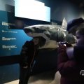 IMG_1680415