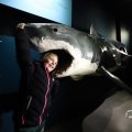 IMG_1680417