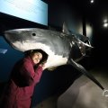 IMG_1680420