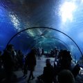 IMG_1680422