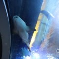 IMG_1680425