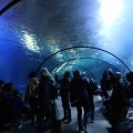 IMG_1680427