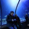 IMG_1680438