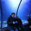 IMG_1680440