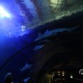 IMG_1680443