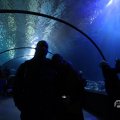 IMG_1680444