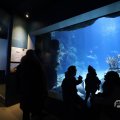 IMG_1680450