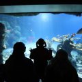 IMG_1680454