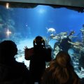 IMG_1680461