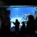 IMG_1680463