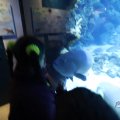 IMG_1680468