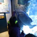 IMG_1680471