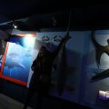 IMG_1680473