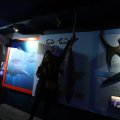 IMG_1680475