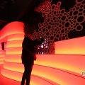 IMG_1680480