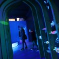 IMG_1680485
