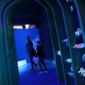 IMG_1680486