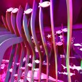 IMG_1680500