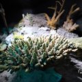 IMG_1680502