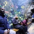 IMG_1680513