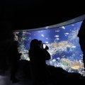 IMG_1680517