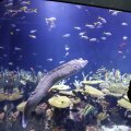 IMG_1680530