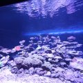 IMG_1680544