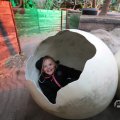 IMG_1680558