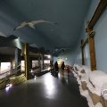 IMG_1680571