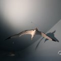 IMG_1680572