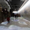 IMG_1680575