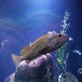 IMG_1680586